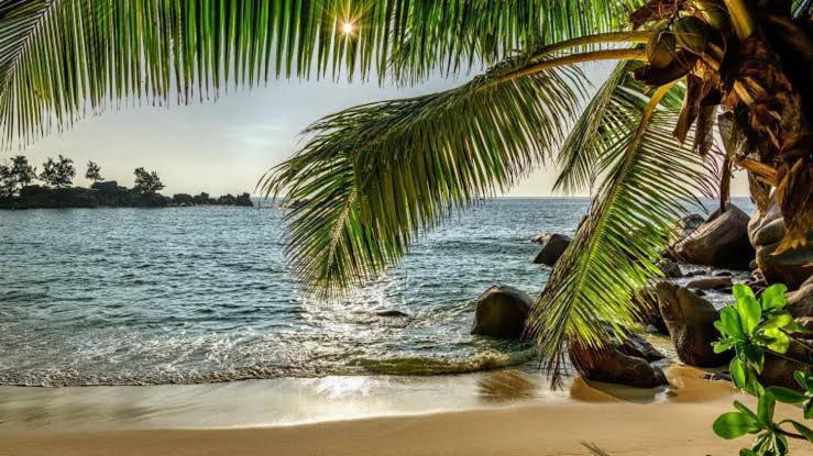 Baga Beach Prime Luaran gambar